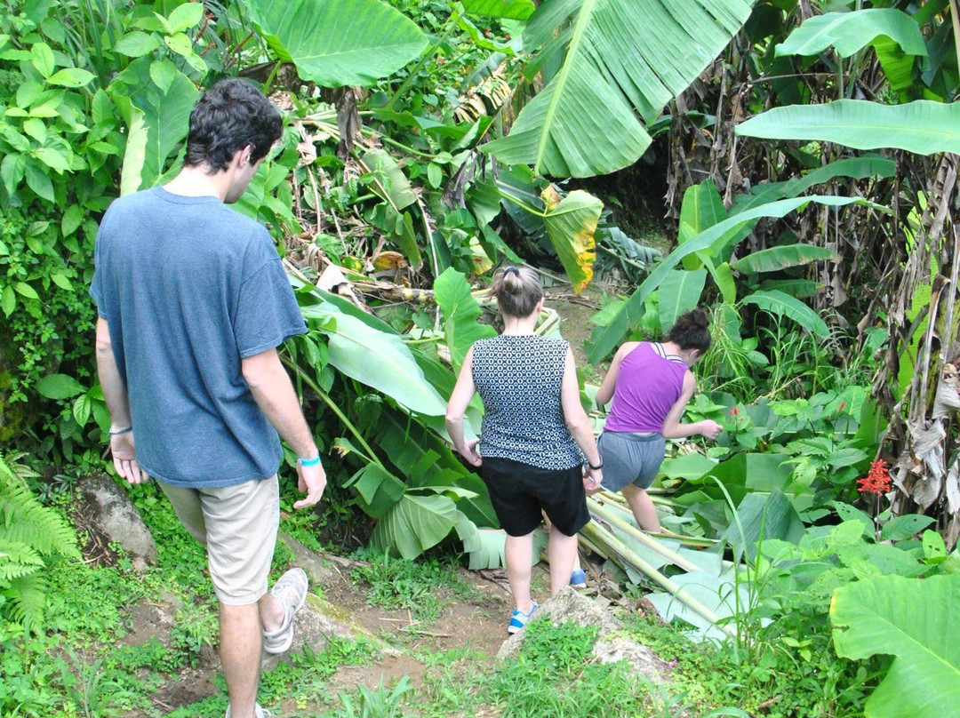 Casa Cubuy Ecolodge主图