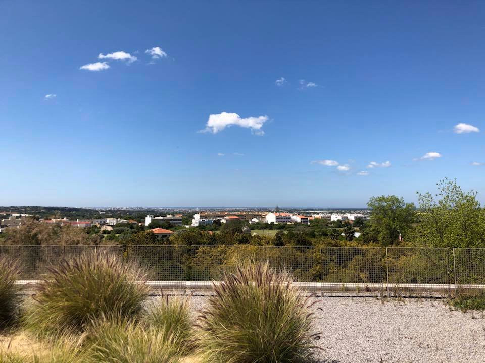 Pousada Palacio Estoi主图