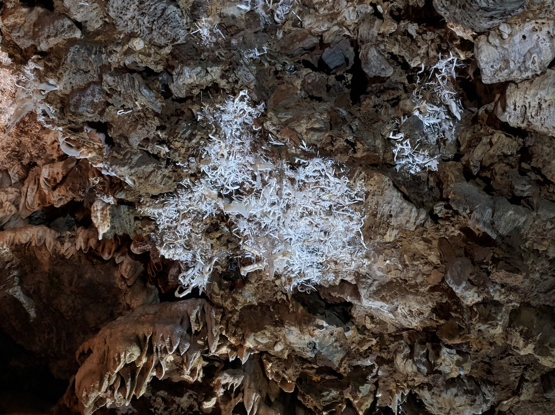 Black Chasm Cavern景点图片