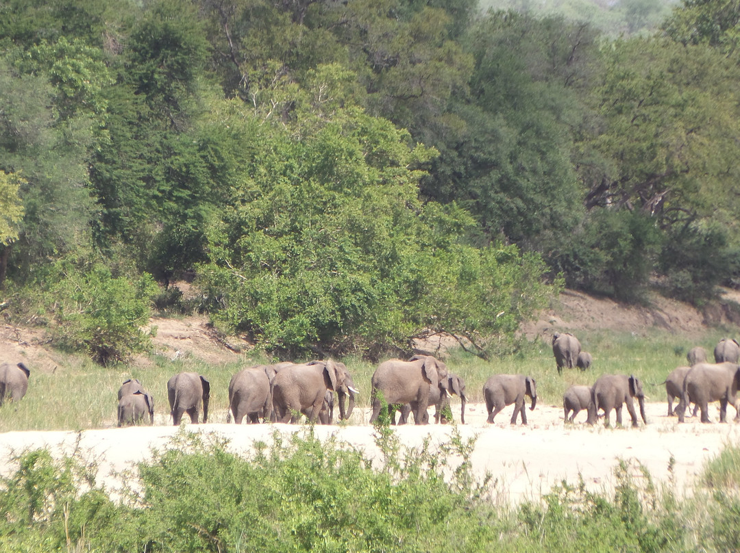 Umkumbe Safari Lodge主图