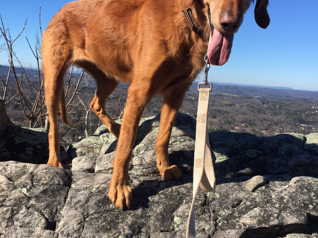 George Disney Trail-多尔顿必去景点