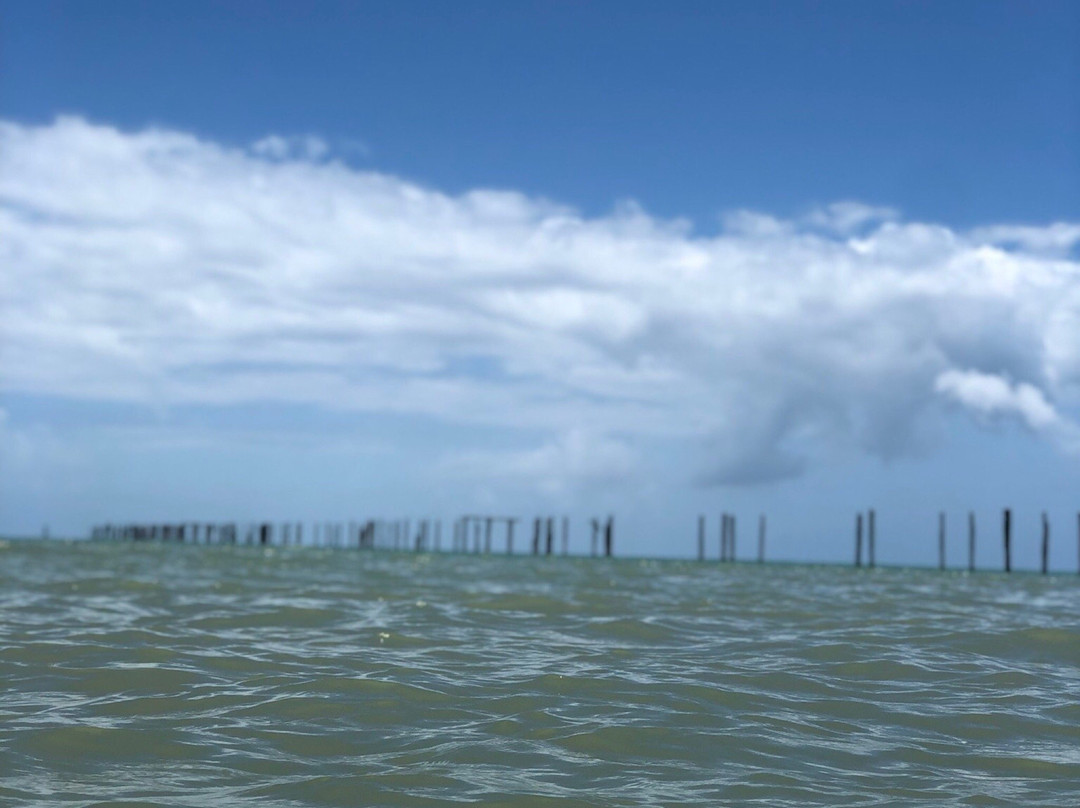 Pier Beach-Cumuruxatiba必去景点