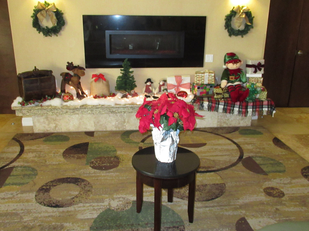 The Oaks Hotel & Suites主图