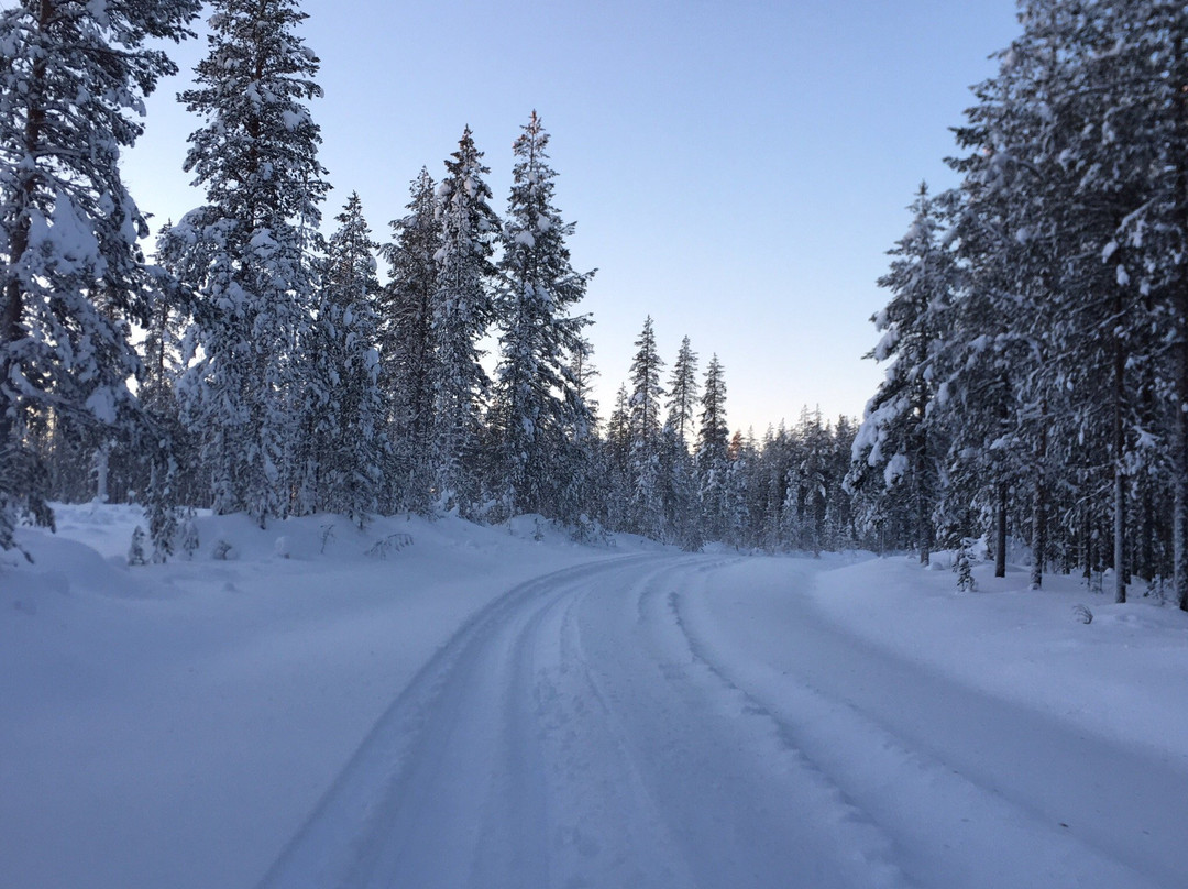 Orbas Reindeer Farm景点图片