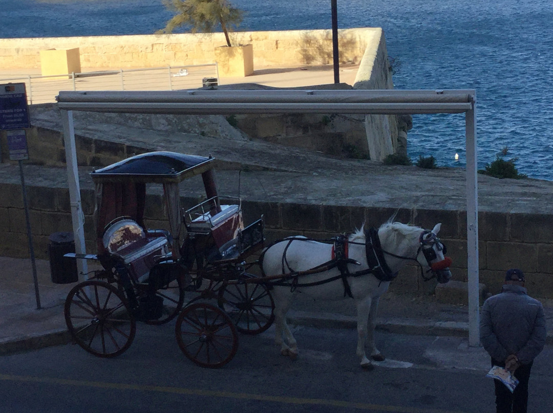 Victor's Horse & Carriage-Xaghra必去景点
