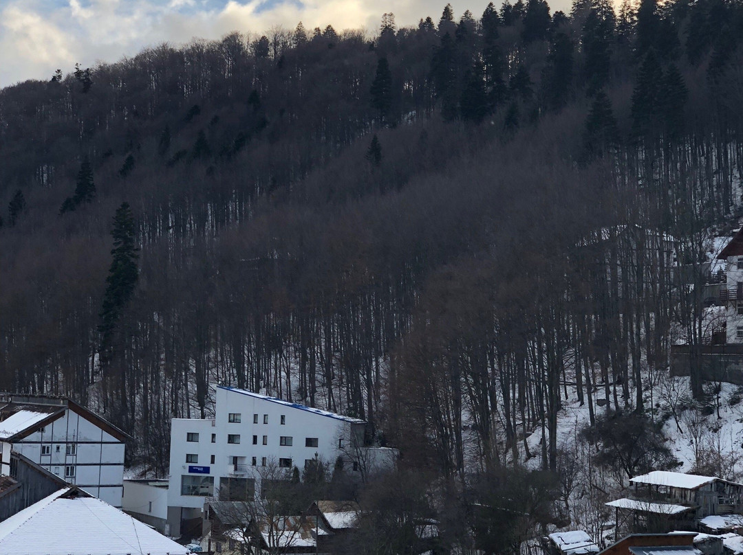 Sinaia Town Hall景点图片