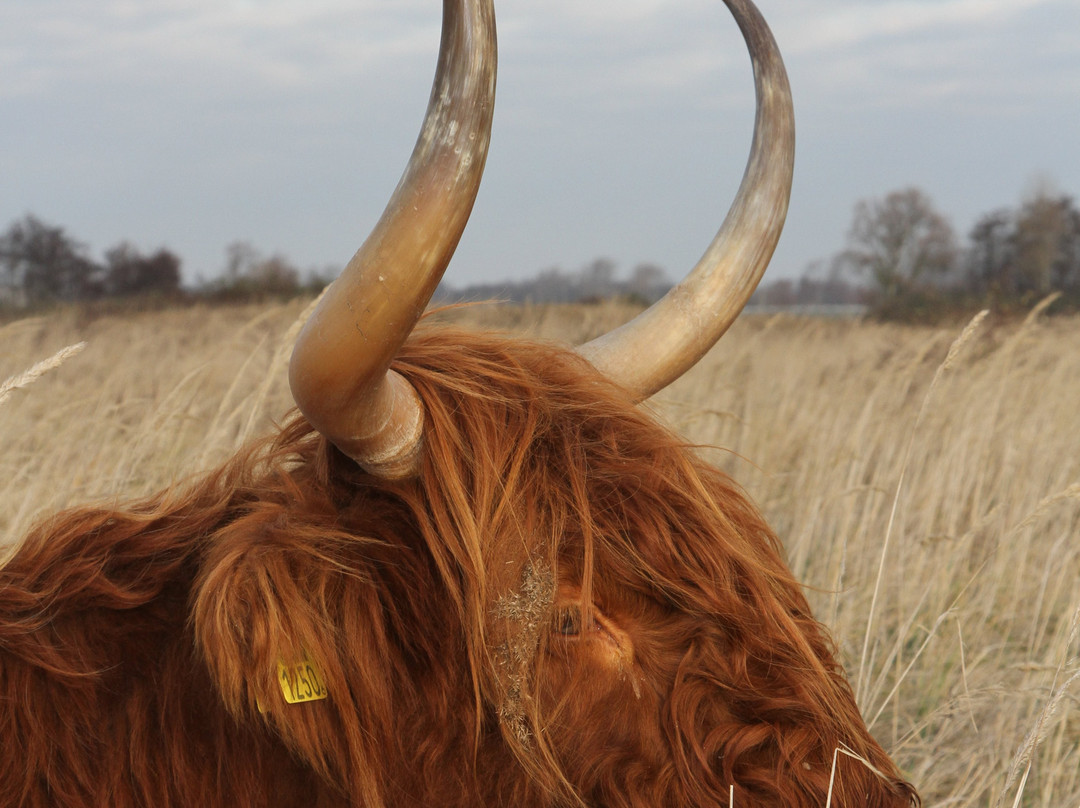 Lentevreugd-Wassenaar必去景点