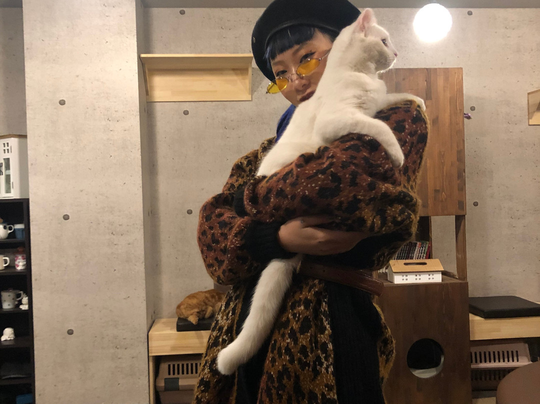 Cat Cafe Singeki Cat-Kabukicho必去景点