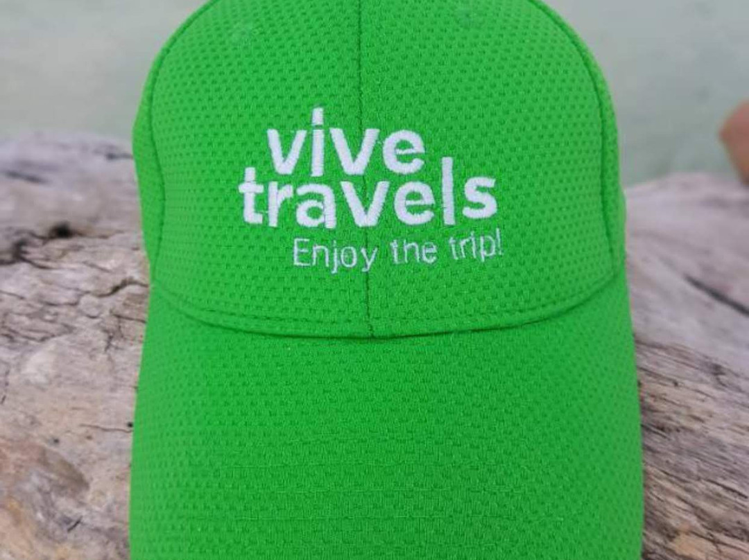 Vive Travels景点图片