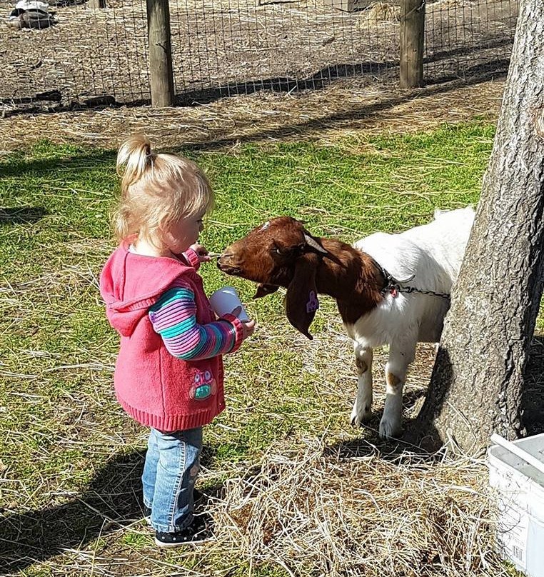 Arion Farm Education Park景点图片