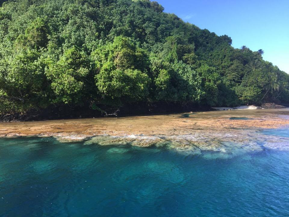 Tahiti Boat Excursion & Surf景点图片