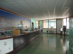 Museo Entomologico nel Regno delle Farfalle - Onlus景点图片