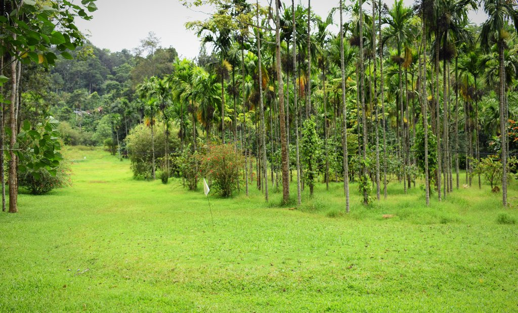 Kadkani River Resort主图