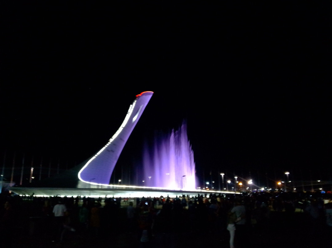 The Singing Fountains-索契必去景点