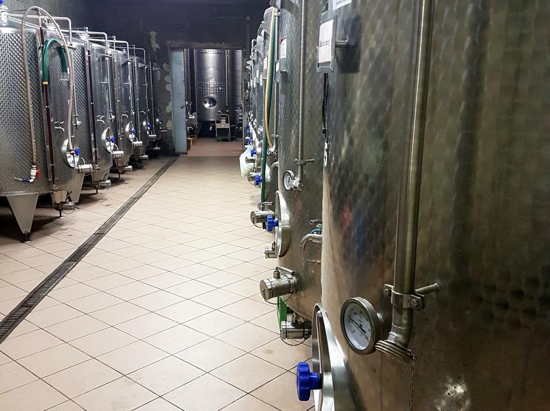 Tothborok Wine cellar景点图片