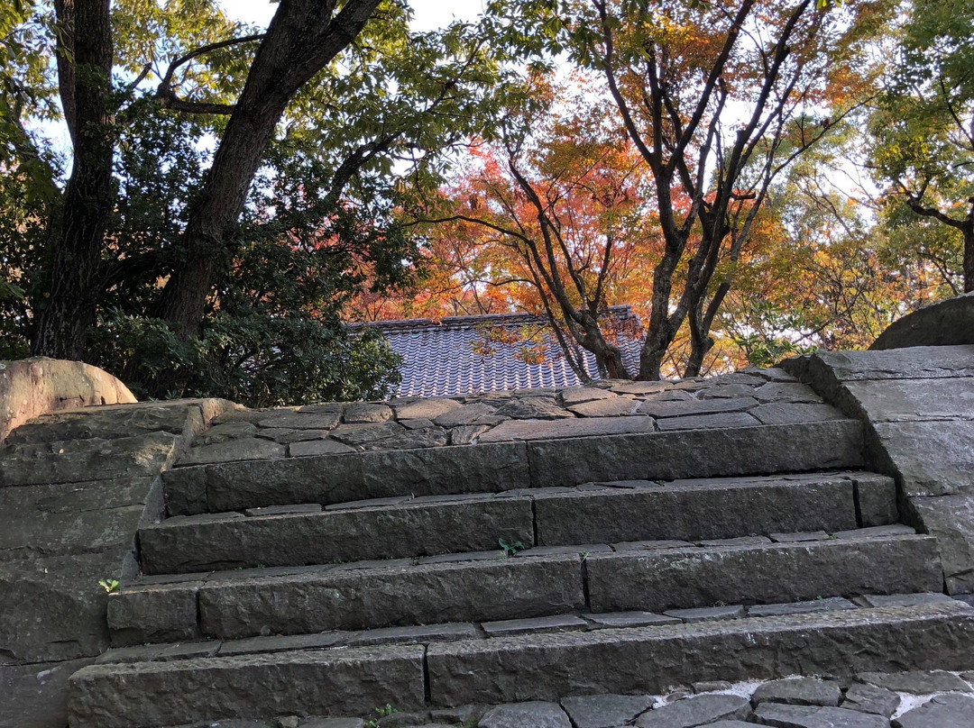 四国村景点图片