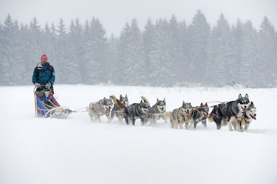 HuskyTours.CZ景点图片