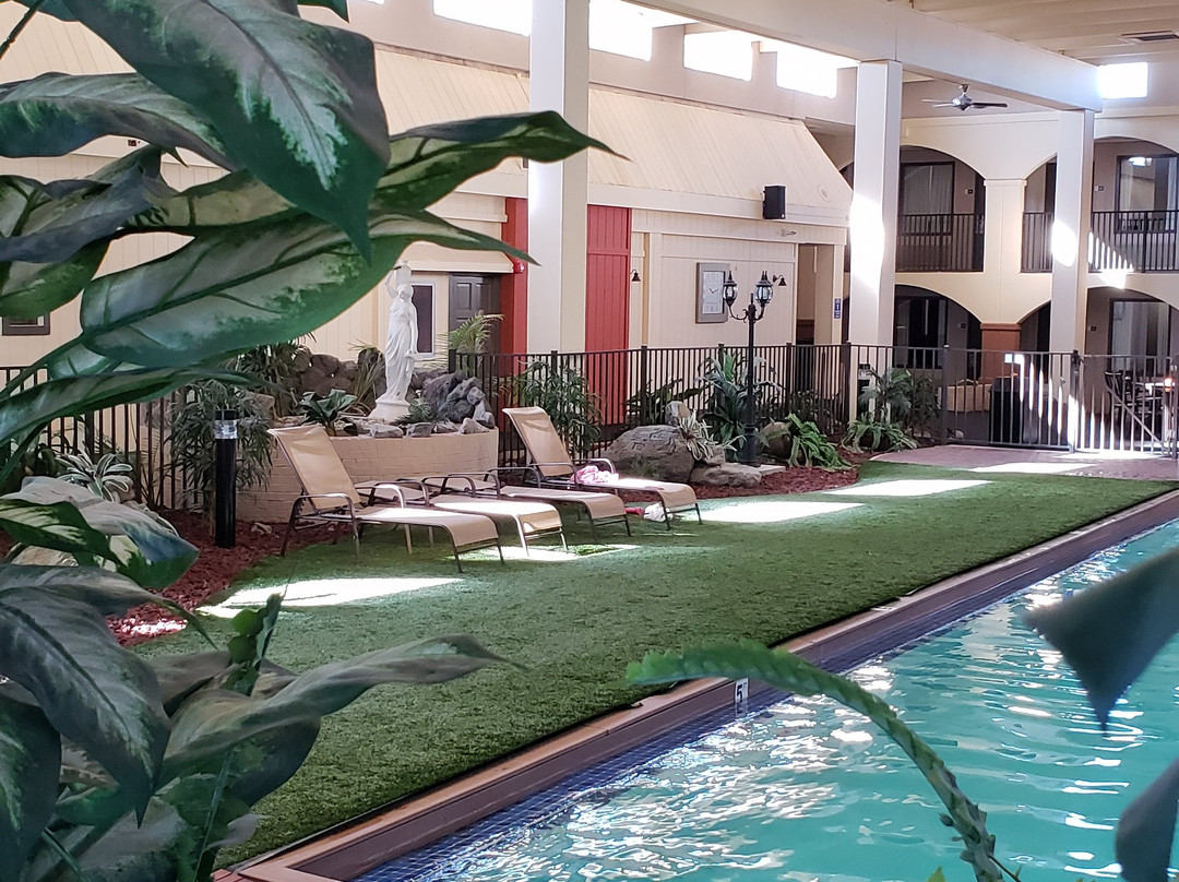 Suite Dreams Hotel主图