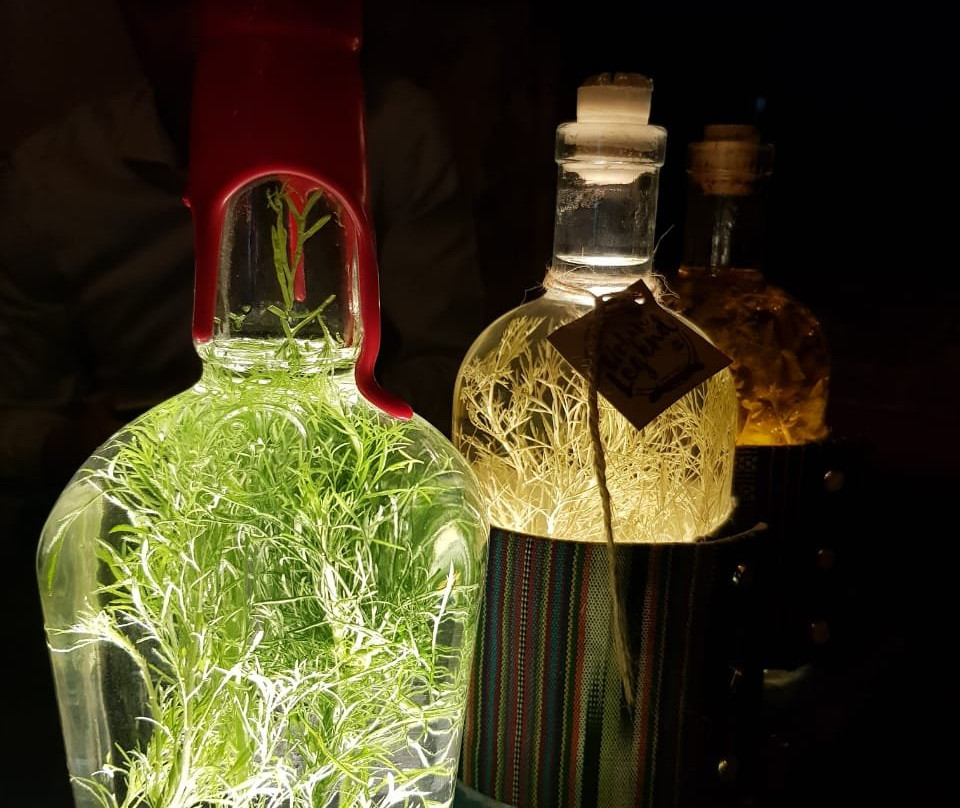 Urban Greens Hydroponic Farm Systems-马卡蒂必去景点