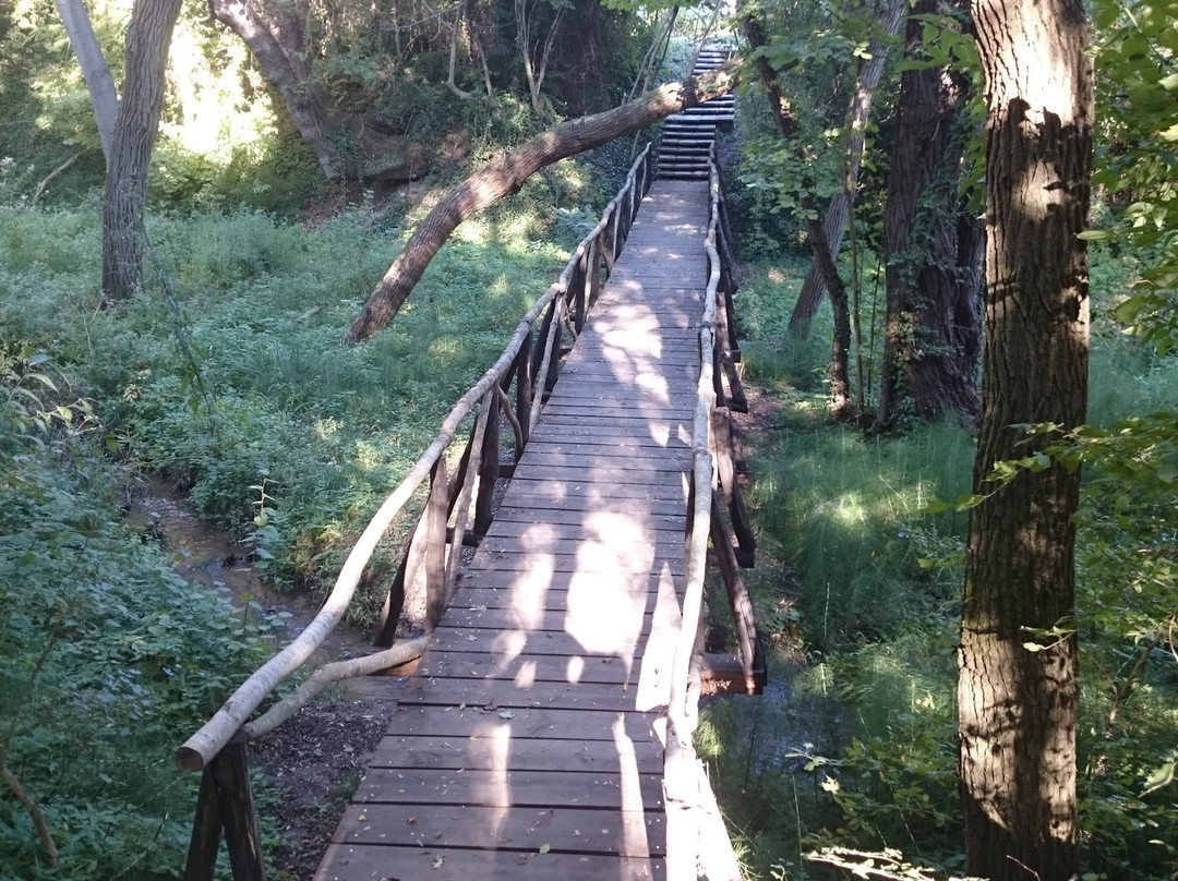 Botanical Garden Ecopark-瓦尔纳必去景点