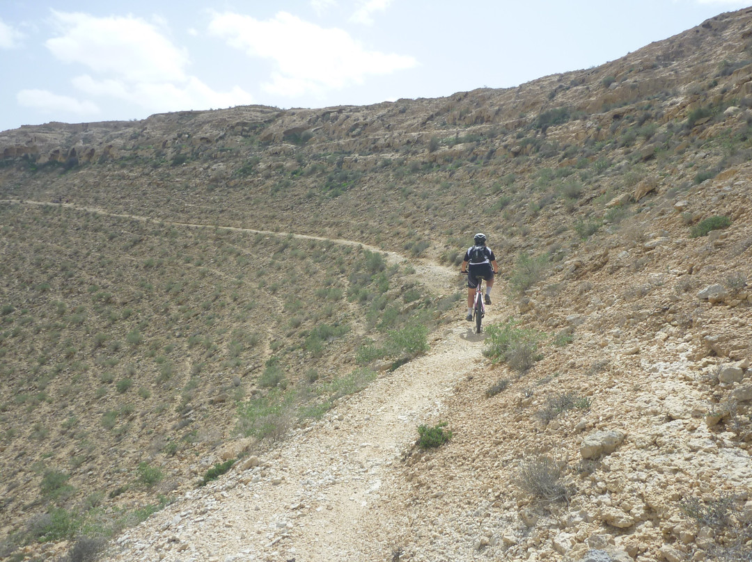 Negev4you-Midreshet Ben-Gurion必去景点