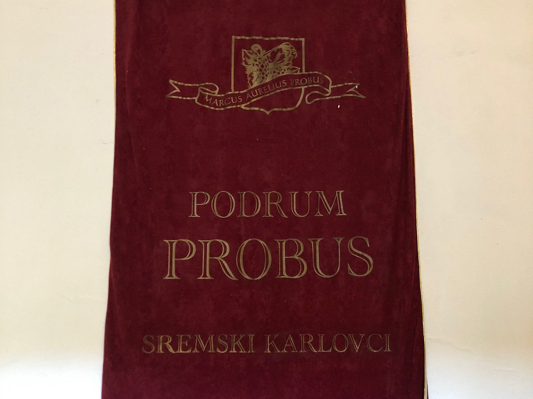 Podrum Probus景点图片