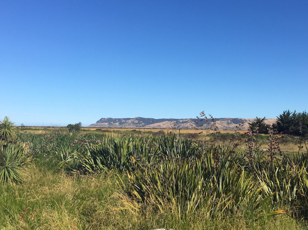 Misty River Retreat主图