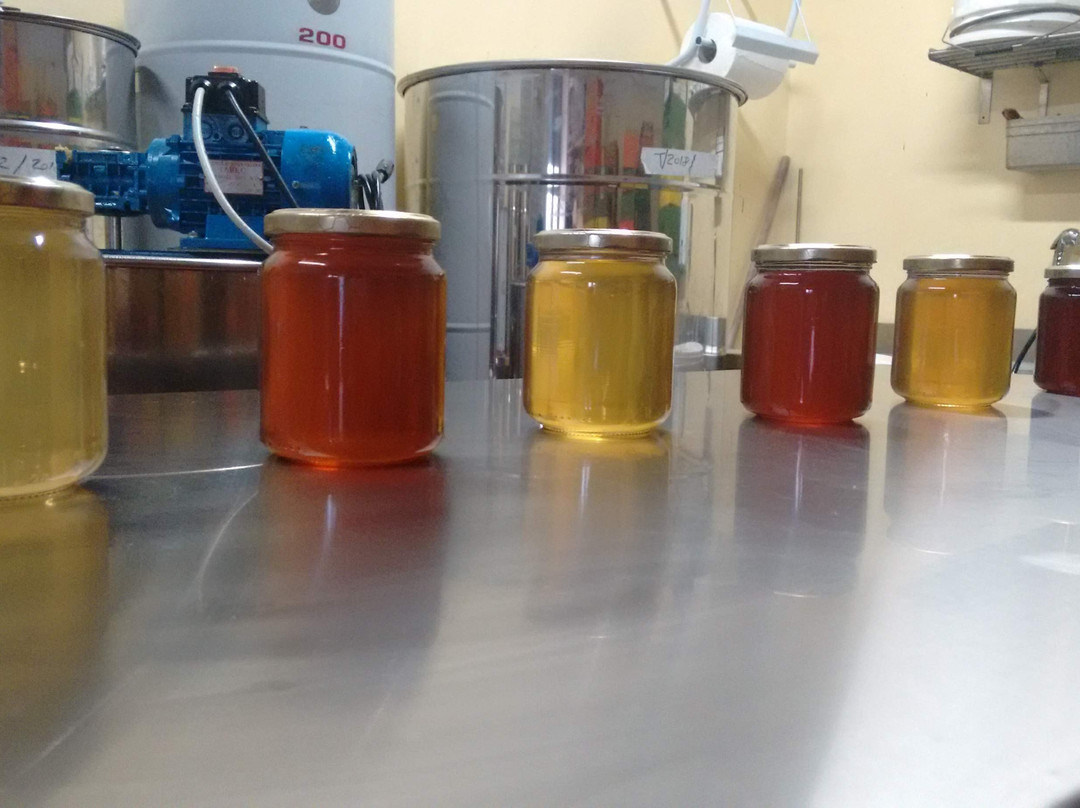 Apicoltura San Martino-巴尼奥阿里波利必去景点