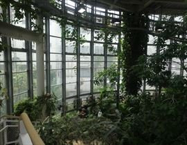 Shibuya Fureai Botanical Center景点图片