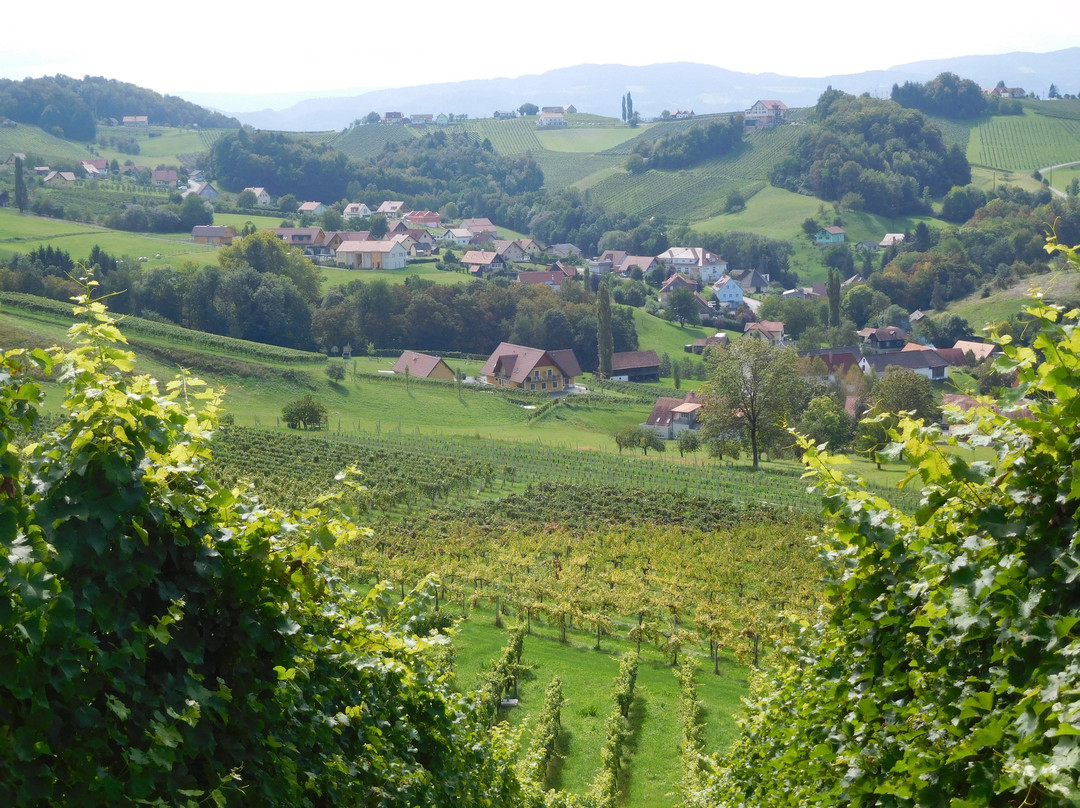 Ratsch an der Weinstrasse旅游景点-Weingut Gross