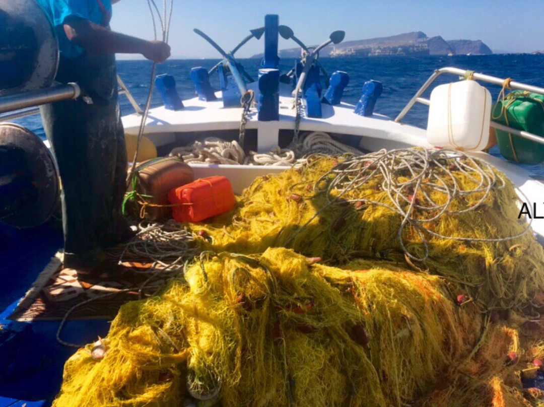Santorini Fishing Trips-维查德必去景点