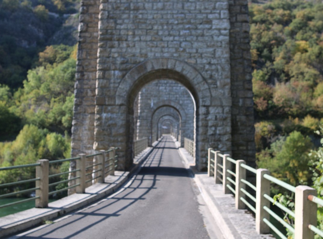Viaduc de Cize-Bolozon景点图片