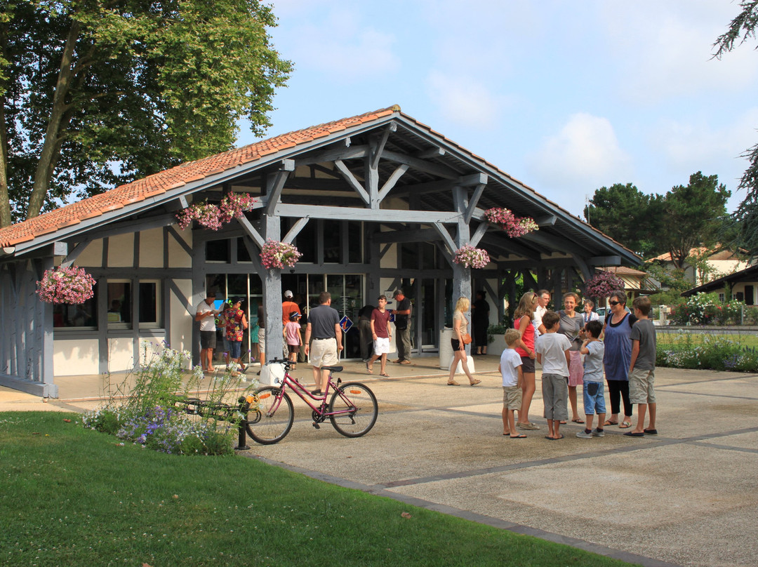 Office de Tourisme de Soustons Landes Atlantique Sud-Soustons必去景点