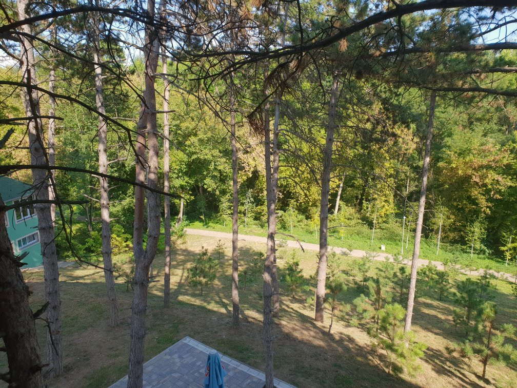 Hotel Borkovac主图