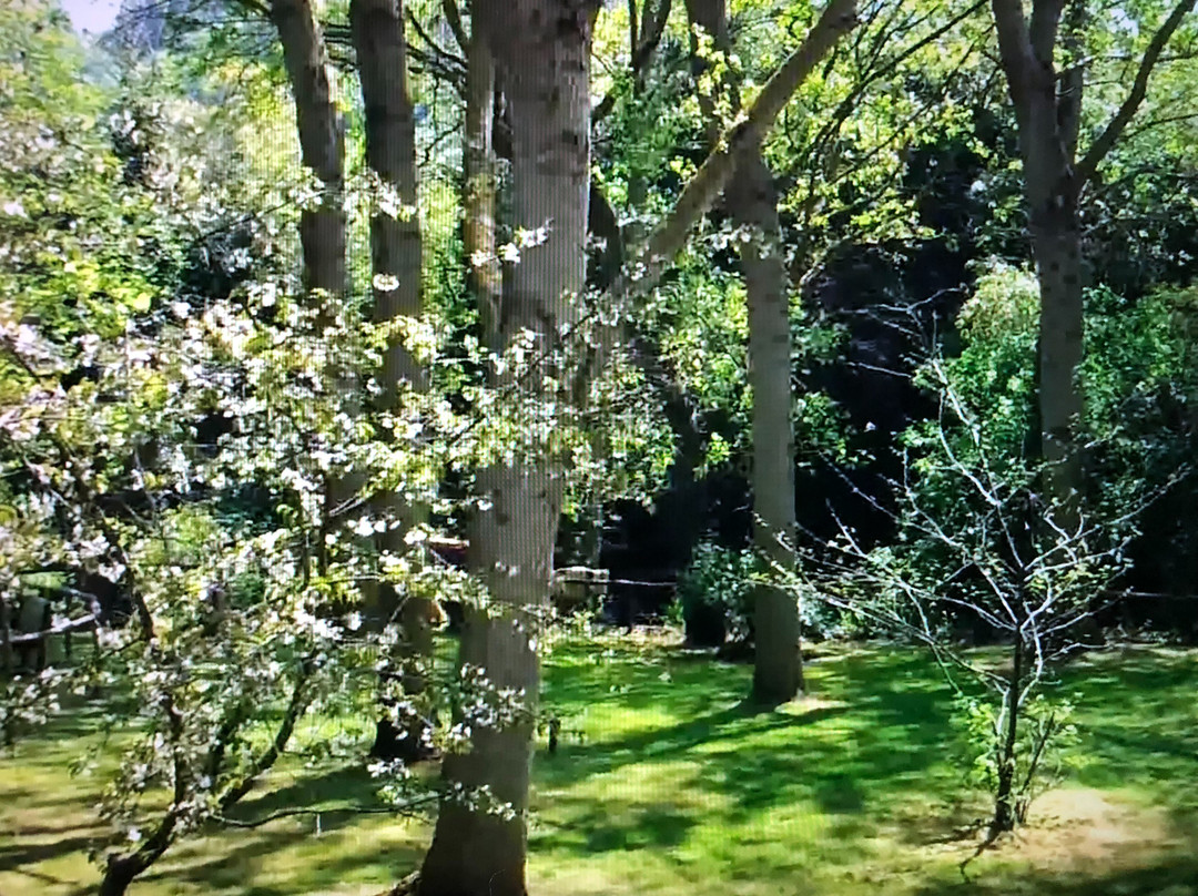 Laghi Trigoria-罗马必去景点