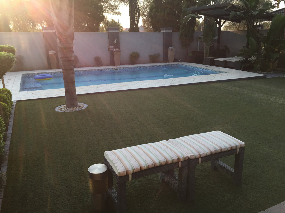 Cycad Palm Guesthouse主图