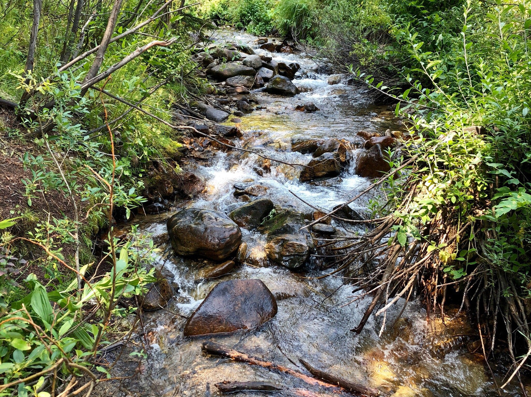 Sawmill Creek Trail景点图片