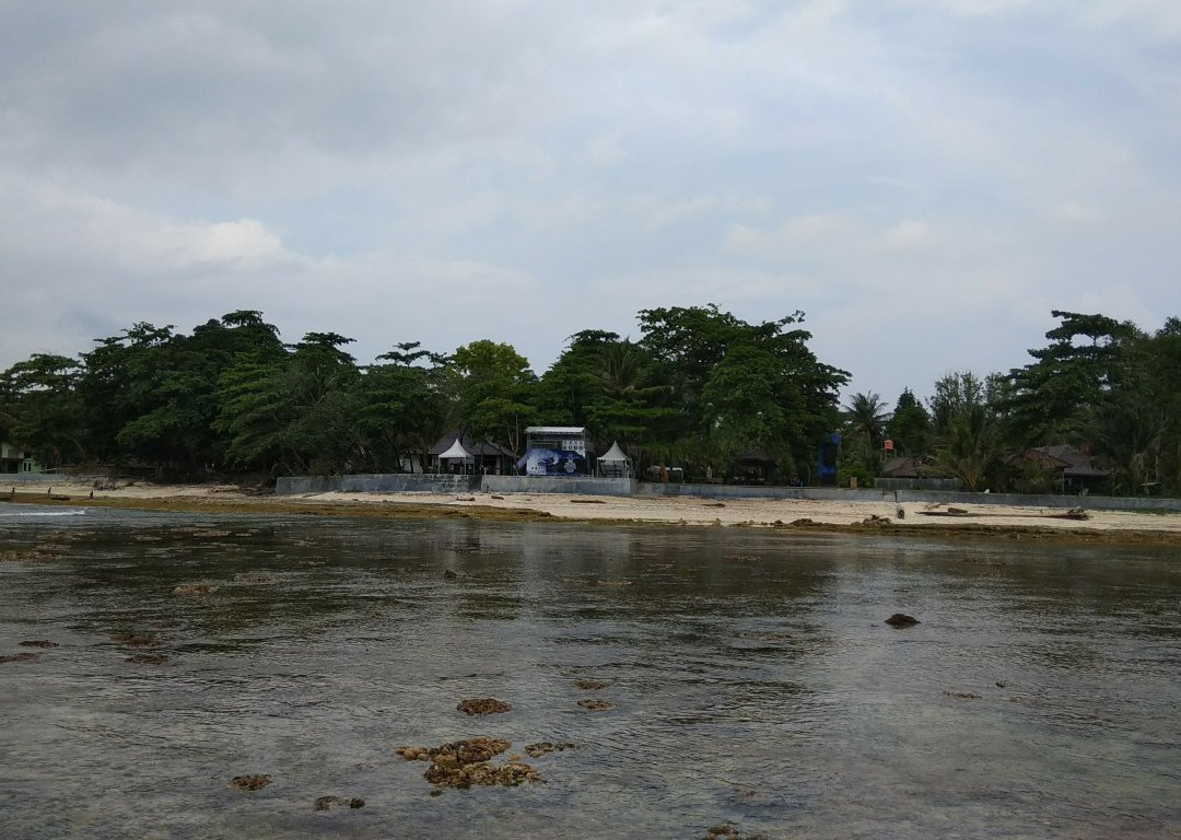 Tanjung Setia Beach景点图片