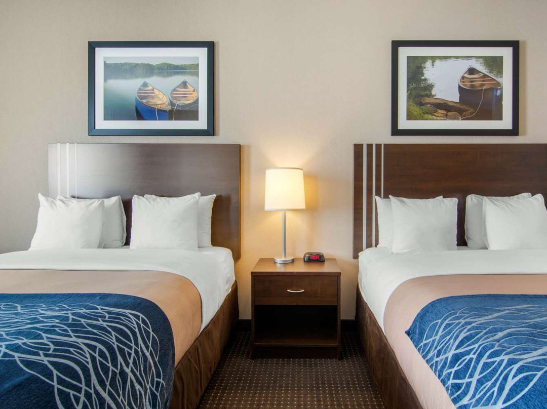 Comfort Inn & Suites主图