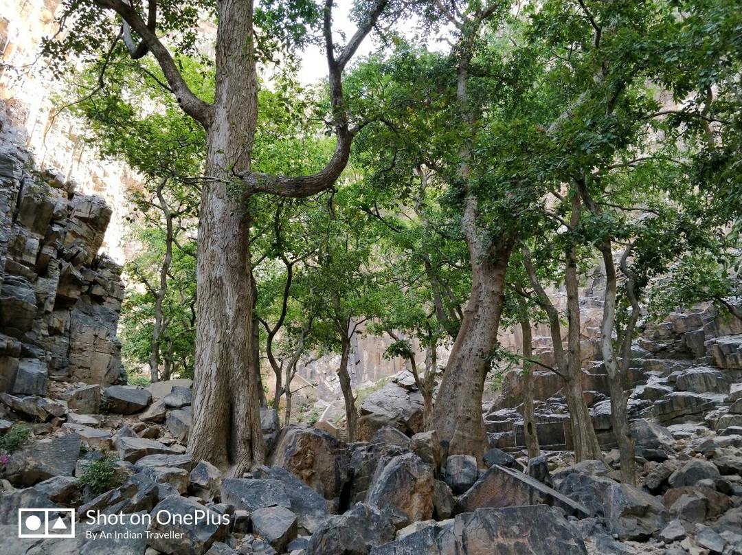 Garbhaji Falls景点图片