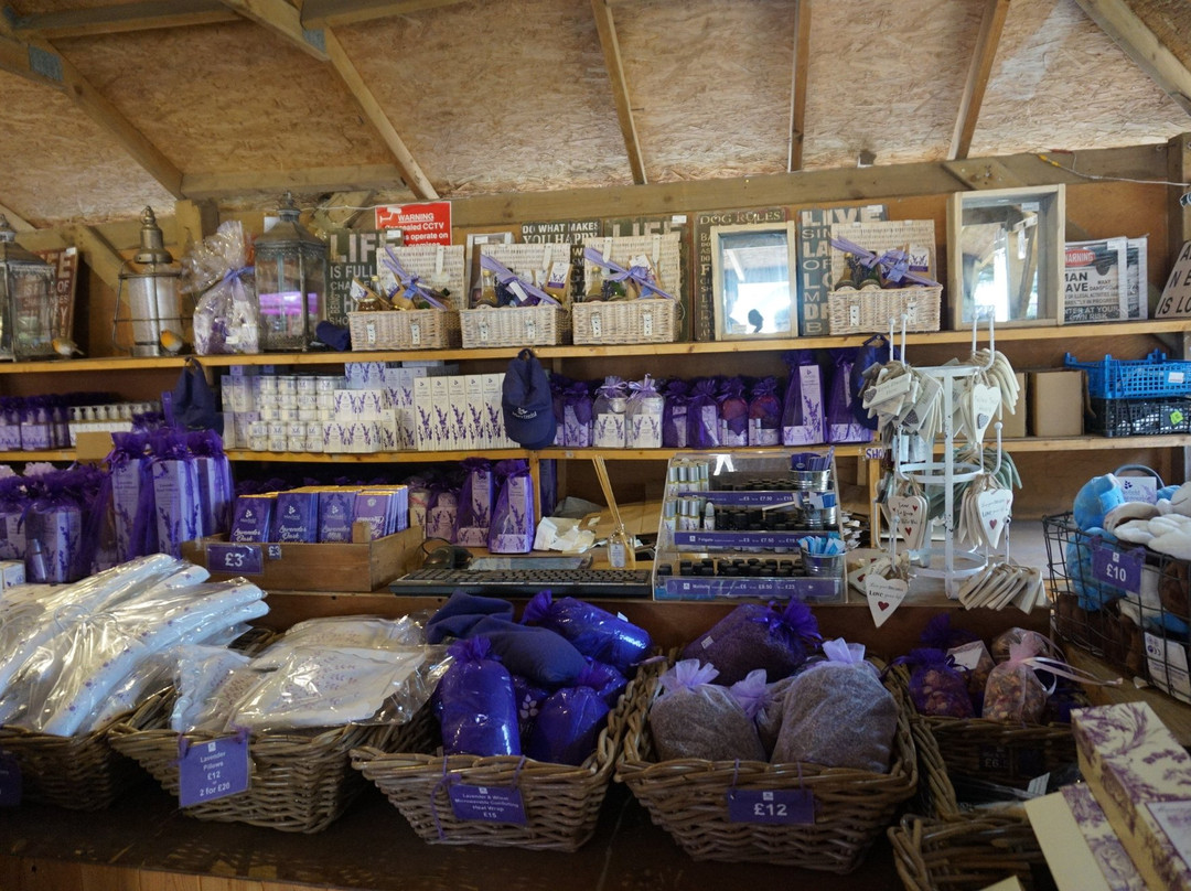 Mayfield Lavender Cafe and Gift Shop景点图片