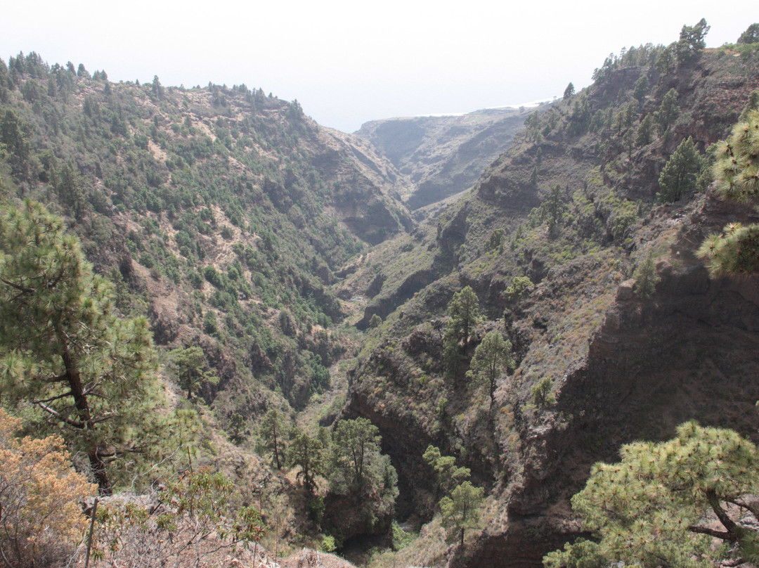 Puntagorda旅游景点-Mirador Barranco de Garome