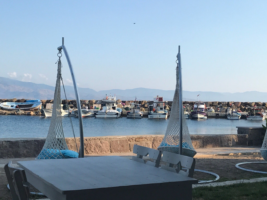 Assos Zeytin Han Hotel主图