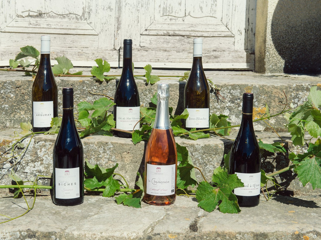 Domaine de l'Enchantoir-Le Puy-Notre-Dame必去景点