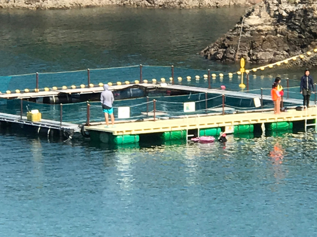 Kujirahama Beach-太地町必去景点