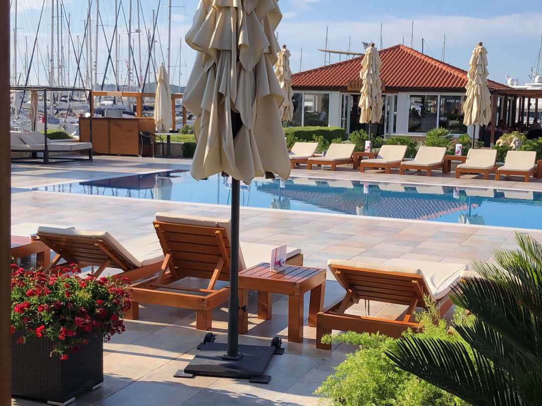 Yacht Beach Apartments