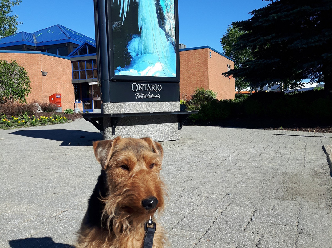 Ontario Travel Information Centre - Sault Ste. Marie-苏圣玛丽必去景点