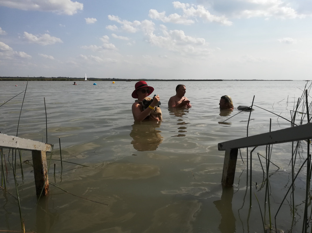 Drotszamar Park & Camping