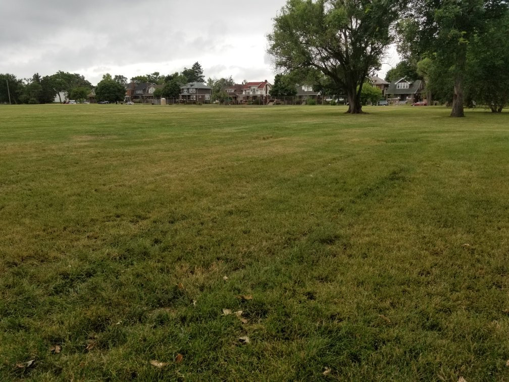 Pingree Park-底特律必去景点