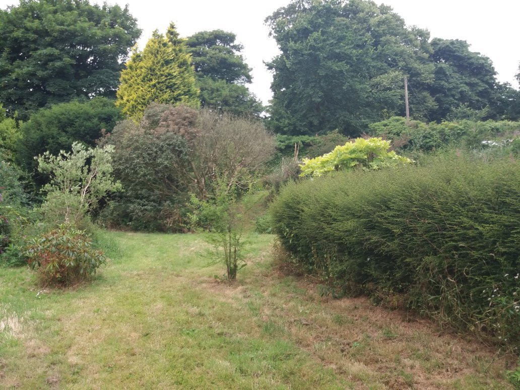 Manorowen Walled Garden景点图片